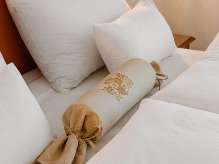 Double Room Hotel Stefanie Vienna