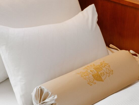 Single Room Hotel Stefanie Vienna